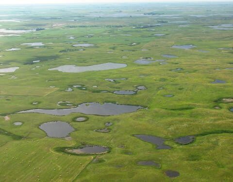 The Supreme Court just shriveled federal protection for wetlands, leaving many of these valuable ecosystems at risk