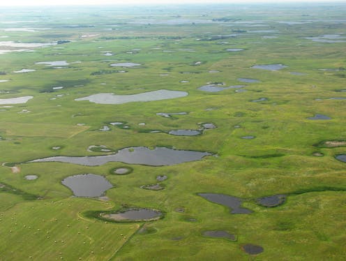 The Supreme Court just shriveled federal protection for wetlands, leaving many of these valuable ecosystems at risk