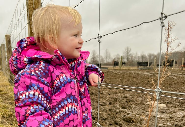 A smiling little girl in a bright pink coat looks through the wires of a fence at the cattle beyond.