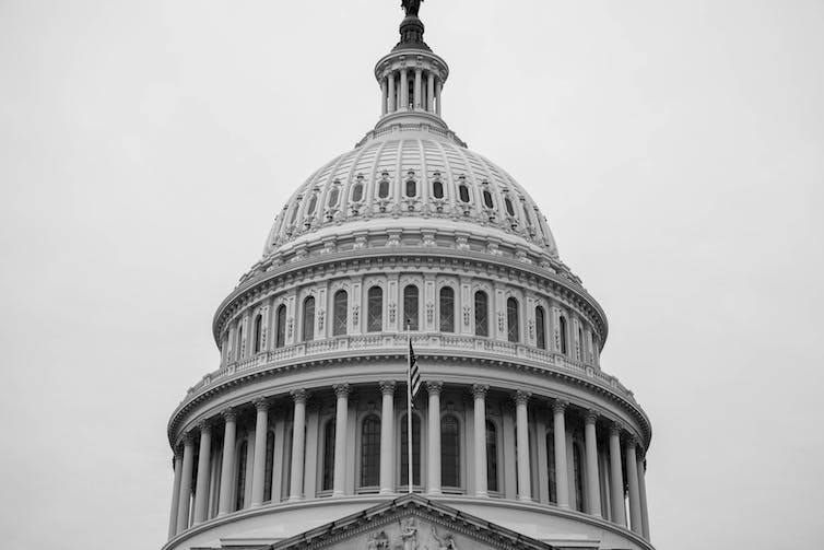 The dark grey dome of the U.S. Capitol Building against a light grey sky.