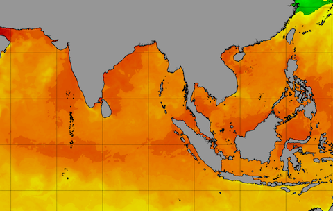 Ocean heat is off the charts – here's what that means for humans and ecosystems around the world