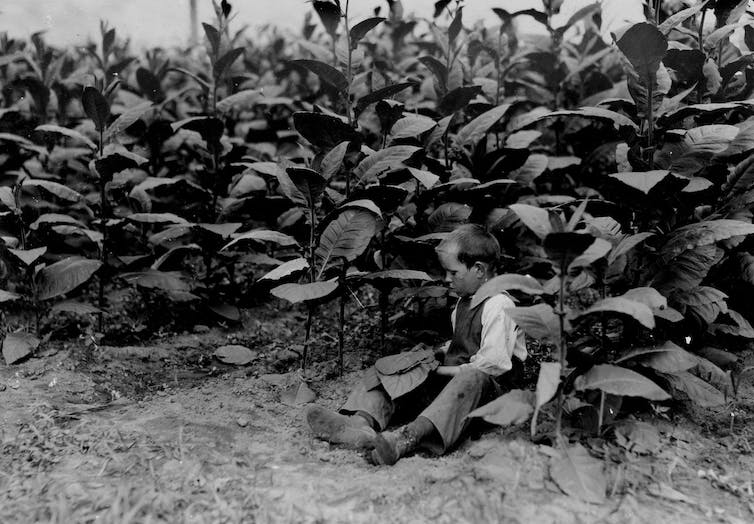 A young child at work in a field in an old black and white photo.