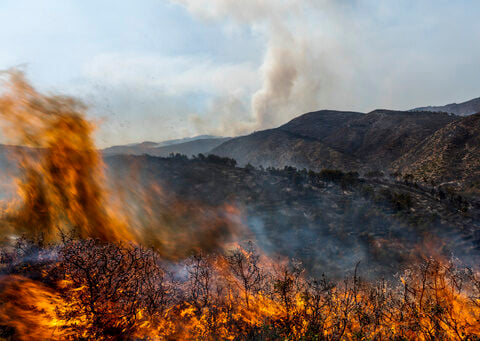 Wildfires driven by climate change are on the rise - Spain must do more to prepare, say experts