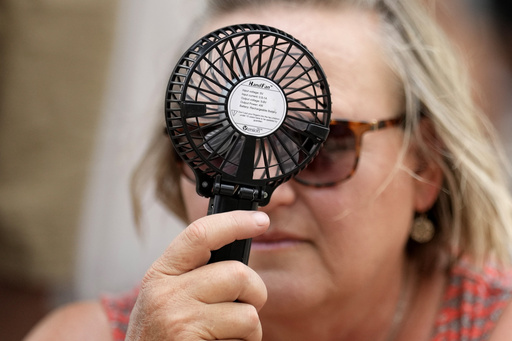 Texas power grid asks customers to cut electricity use as heat wave scorches southern US