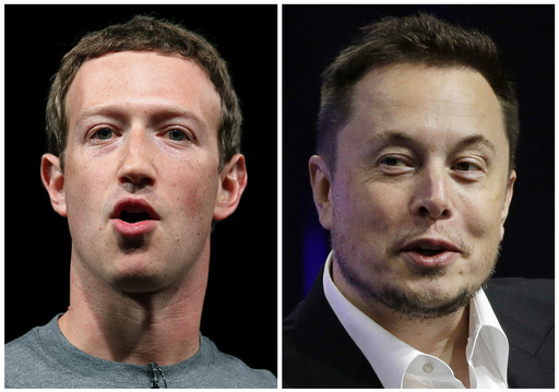 Tech billionaires' cage match? Musk throws down the gauntlet and Zuckerberg accepts challenge