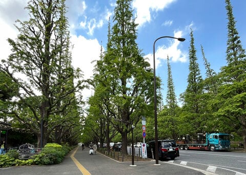 Haruki Murakami pleads for keeping Tokyo park and baseball stadium that inspired his writing