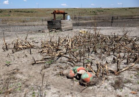 Kakhovka Dam breach in Ukraine caused economic, agricultural and ecological devastation that will last for years