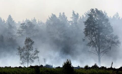 'Zombie fires' in the Arctic: Canada's extreme wildfire season offers a glimpse of new risks in a warmer, drier future