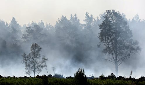 'Zombie fires' in the Arctic: Canada's extreme wildfire season offers a glimpse of new risks in a warmer, drier future