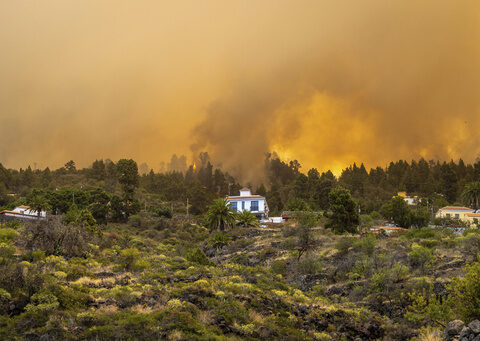 2,000 evacuated in La Palma wildfire in Spain's Canary Islands; official says blaze 'out of control'