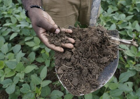 Farm fields don't just feed us. They store carbon. But a big question is how much