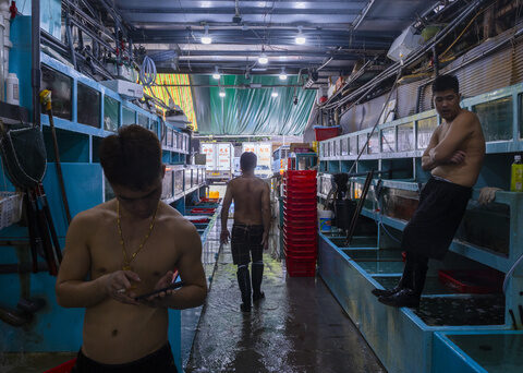 Hong Kong's seafood businesses brace for a sales slump as Japan plans to discharge radioactive water