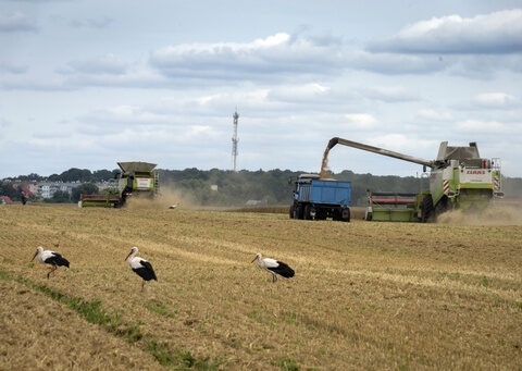 Russia halts wartime deal allowing Ukraine to ship grain. It's a blow to global food security