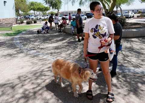 ThunderShirts, dance parties and anxiety meds can help ease dogs' July Fourth dread