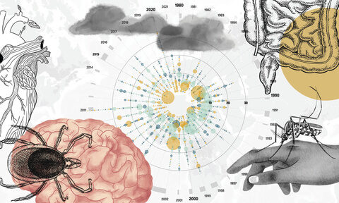 As the planet warms, increasing worry about the impact that may have on infectious diseases