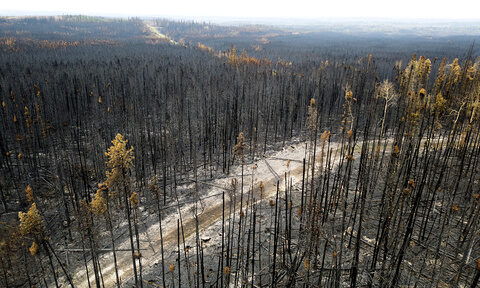 Wildfires have burned a record amount of area in the Canadian province of British Columbia