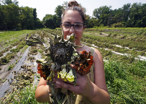 Northeast floods devastate 'heartbroken' farmers as months of labor and crops are swept away