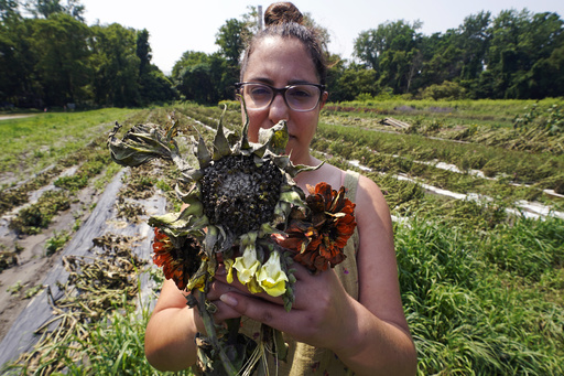 Northeast floods devastate 'heartbroken' farmers as months of labor and crops are swept away