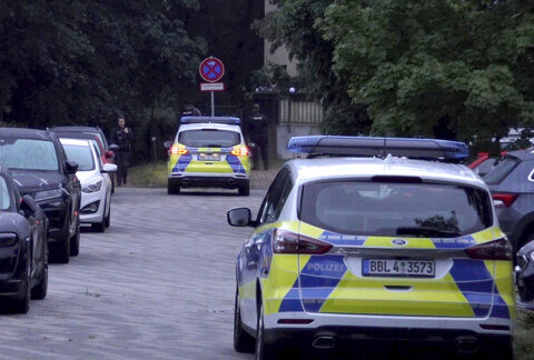 'Lioness' on the loose? More experts join police in second-day search for elusive animal