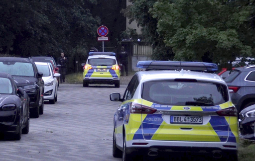 'Lioness' on the loose? More experts join police in second-day search for elusive animal