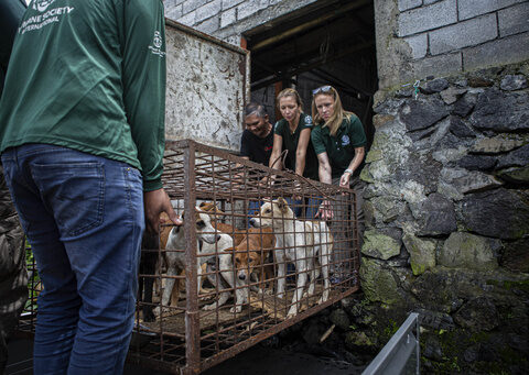 A notorious Indonesian animal market has ended its brutal dog and cat meat trade, campaigners say