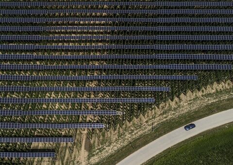 Hops for beer flourish under solar panels. They're not the only crop thriving in the shade.