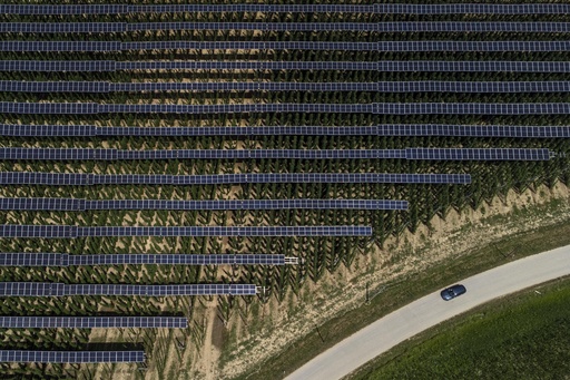 Hops for beer flourish under solar panels. They're not the only crop thriving in the shade.