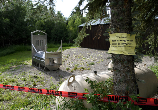 Traps removed after no sign of the grizzly that killed a woman near Yellowstone