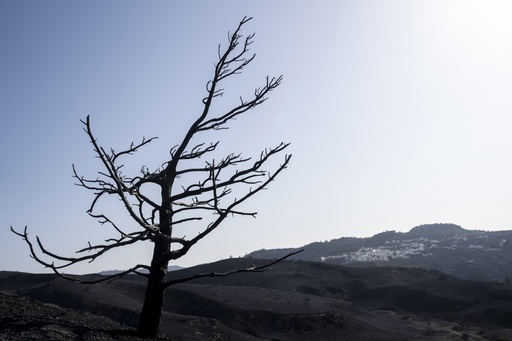 Deadly wildfires across the Mediterranean destroy homes, threaten nature reserves