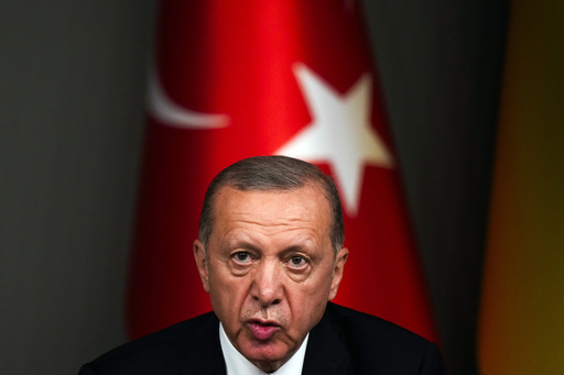 Erdogan says Turkey could approve Sweden's NATO membership if Europeans 'open way' to Turkey EU bid