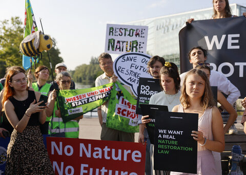 European Union lawmakers back a major bill to protect nature and fight climate change