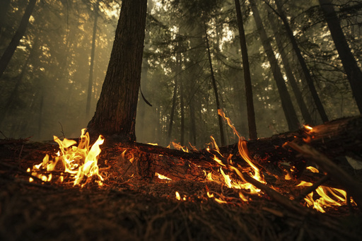 Canadian firefighters make progress battling some blazes but others push thousands from their homes