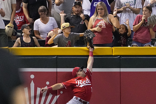 Arizona's Pham robbed of homer by fan who stole the ball from Steer