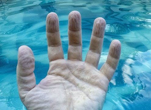 Why are my Fingers Wrinkled after a Swim or Bath?