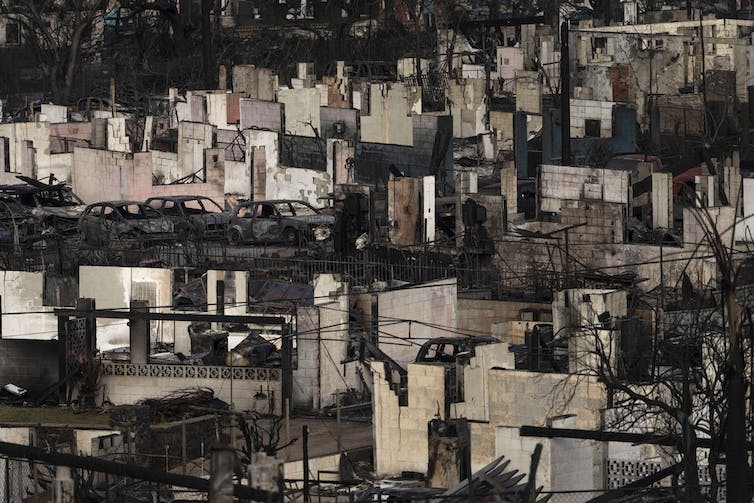 Rows of burnt houses and cars in the aftermath of the Lahaina fires.