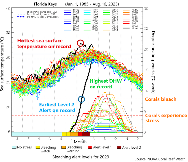 Two charts show ocean temperatures far above normal.