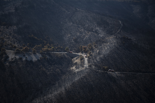 More than 600 firefighters backed by water-dropping aircraft struggle to control wildfires in Greece