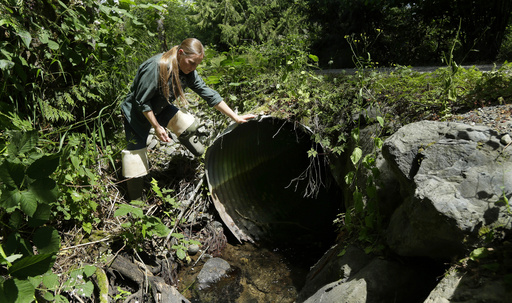 Federal grants will replace water tunnels beneath roads that are harmful to fish