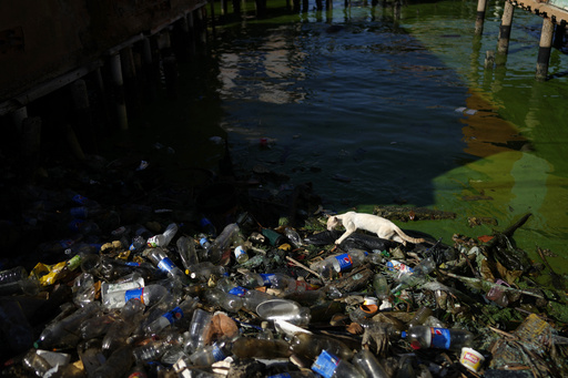 Pollution in Venezuela's Lake Maracaibo threatens life in one of the world's oldest lakes