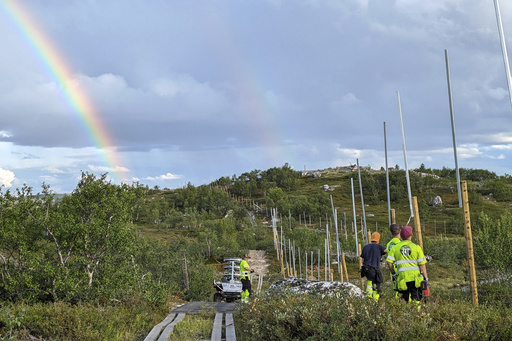 Norway is rebuilding a reindeer fence at the border to stop the animals' costly strolls into Russia