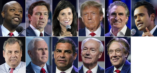 Who's running for president? See a rundown of the 2024 candidates