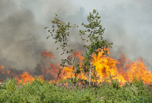 Louisiana plagued by unprecedented wildfires, as largest active blaze grows