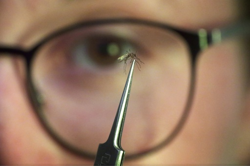 Let skeeters feed on you for science? Welcome to front lines of mosquito control