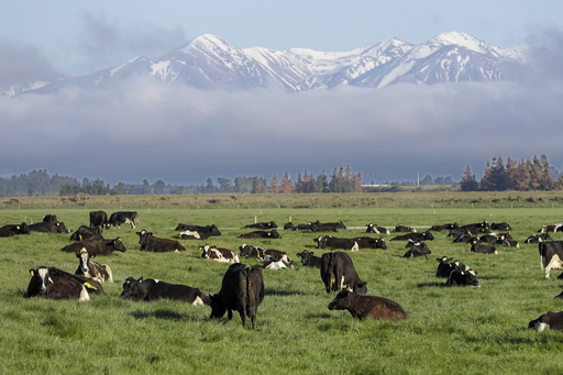 New Zealand economy to remain sluggish for 2 years, although doing better than feared, figures show