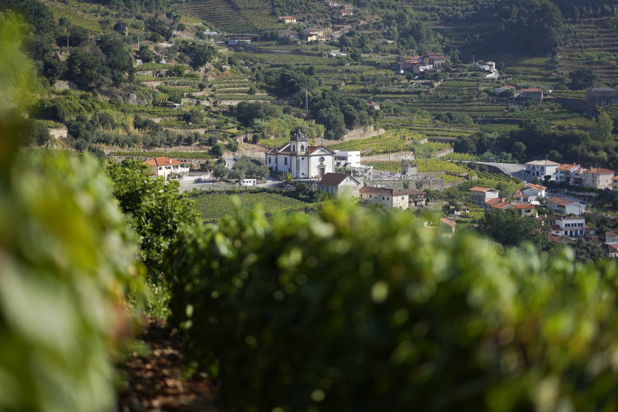 Ox-pulled floats with sacred images of Mary draw thousands to Portugal’s wine-country procession