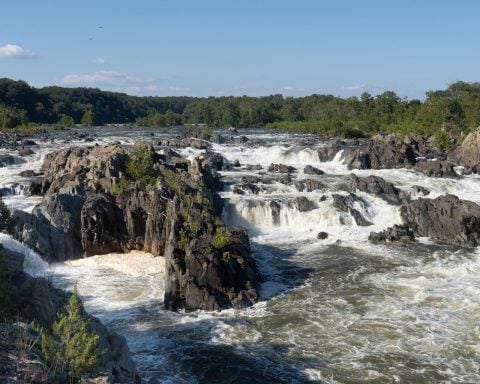 As climate change warms rivers, they are running out of breath – and so could the plants and animals they harbor