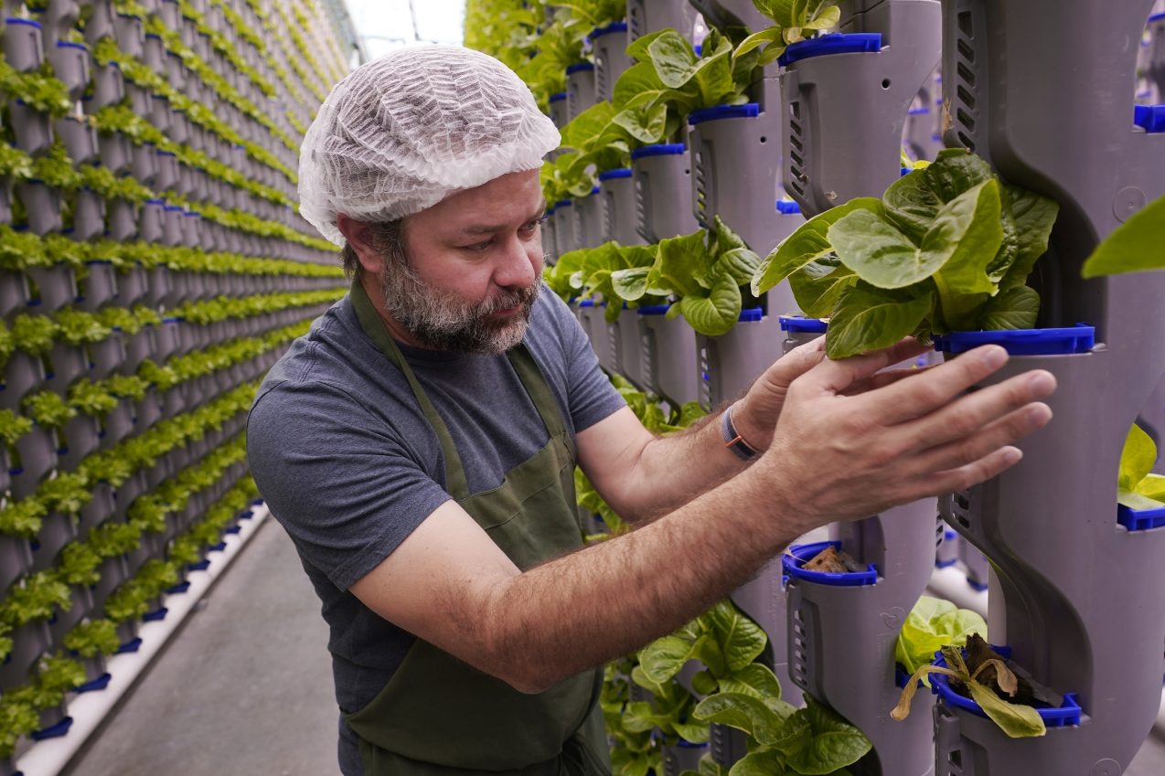 Climate Vertical Farms