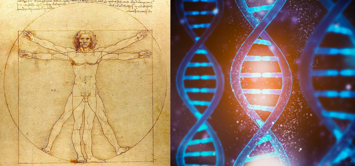 Art and science entwined: This course explores the long, interrelated history of two ways of seeing the world