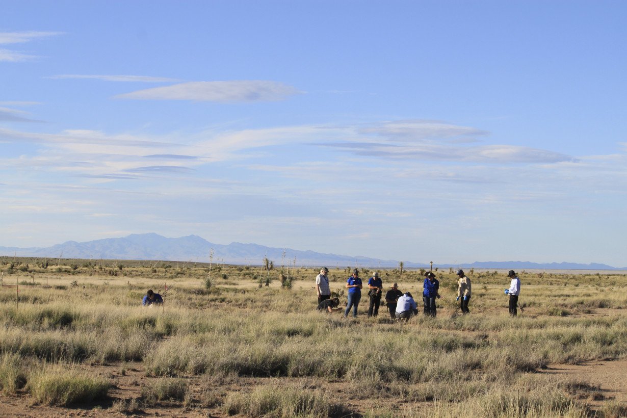 Biologists in slow and steady race to help North America's largest and rarest tortoise species