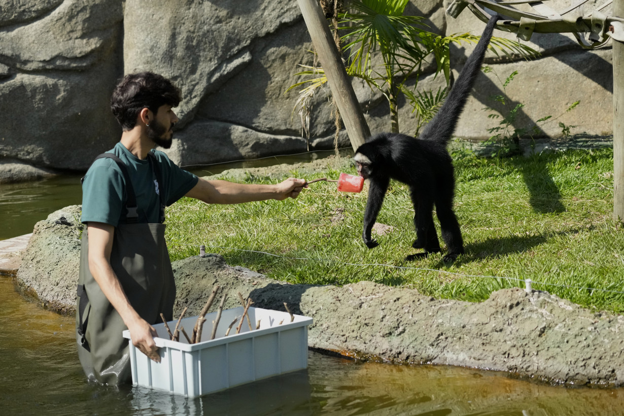 Brazil Zoo